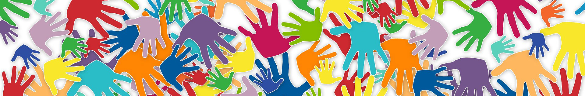 volunteers 2729723 330